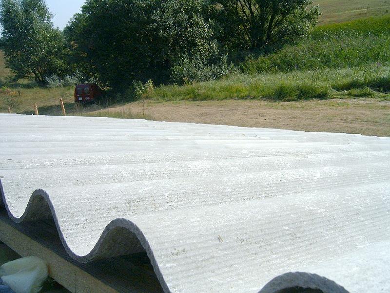 2009.08.22 014.jpg